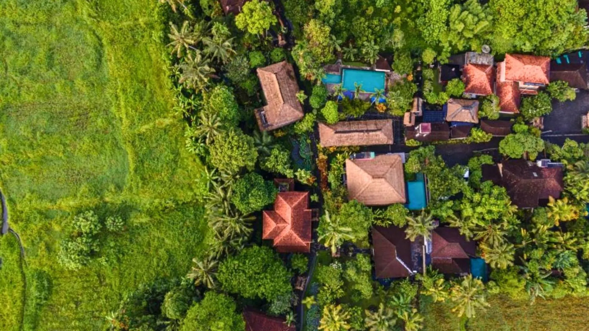 Apartment Devara 2 Bedroom Villa With Garden View Zn229 Ubud